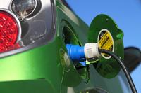 © andrea lehmkuhl - Fotolia.com