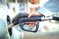 © Sandor Jackal - Fotolia.com